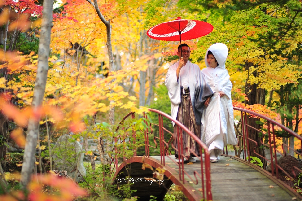 Pre wedding in maple leaf season