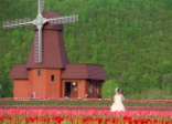 Hokkaido -北海道