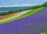 Hokkaido -北海道