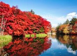 Nagano 長野 (Karuizawa 軽井沢)