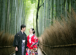 Kyoto-Kojitsu