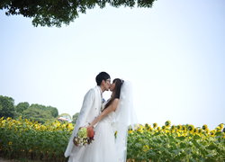 Saki Wedding