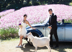 Saki Wedding