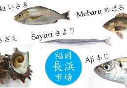 Fukuoka Fish Market