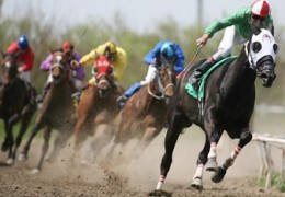 horse racing