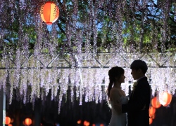 Pre wedding in Yanagawa city