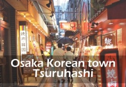 Osaka Korean town