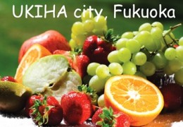 Ukiha city Fukuoka