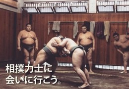 Visit sumo stable