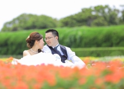 Flower garden, Fukuoka
