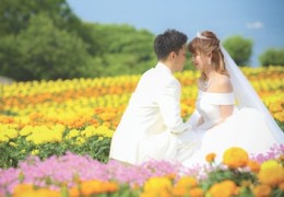 Visit this beautiful flower land
