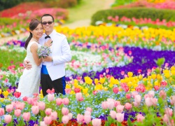 Flower garden