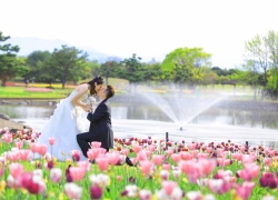 Flower garden in Fukuoka