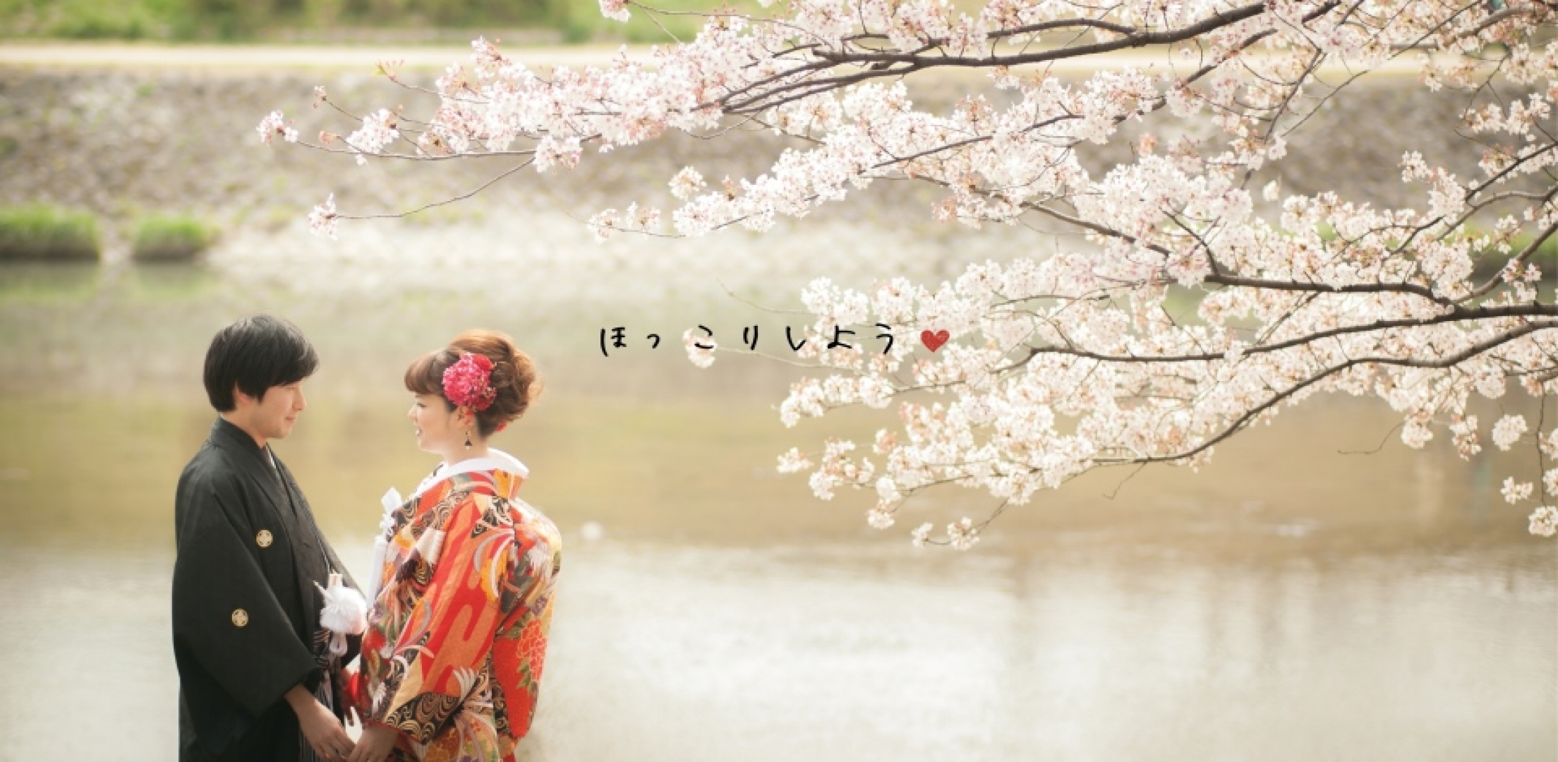 Kimono pre wedding in sakura season