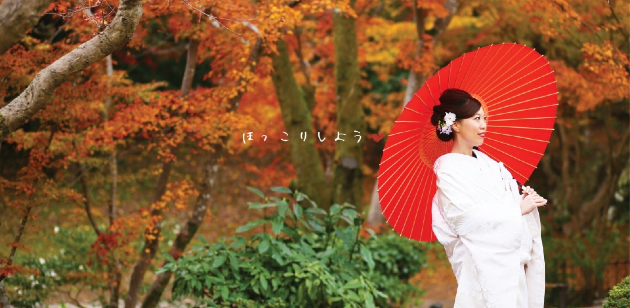 Beautiful red leaf in Kyoto Japan