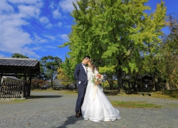 Maizuru park