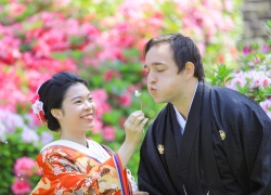 Spring in Japan